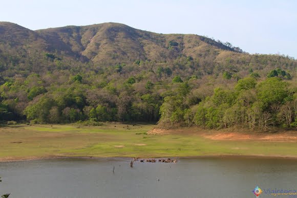 Visual do Lake Palace no Periyar Lake