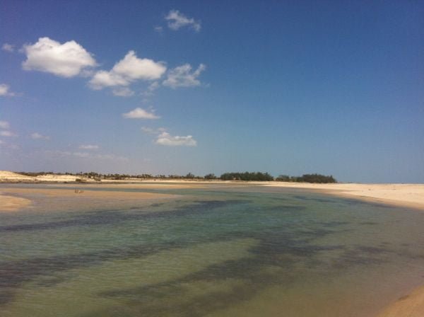 Belezas de barra grande