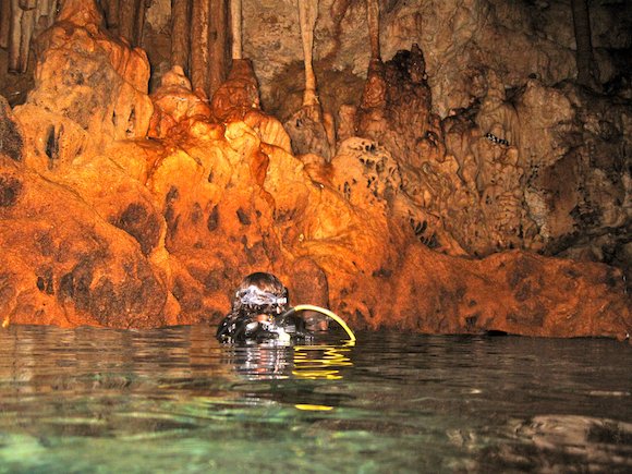 Caverna cheia de serpentes marinhas