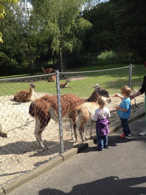 zoológico Frankfurt