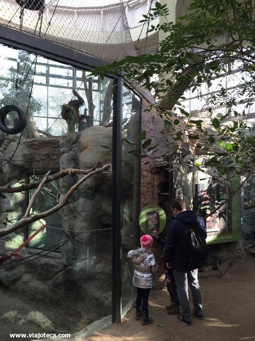 zoo Frankfurt