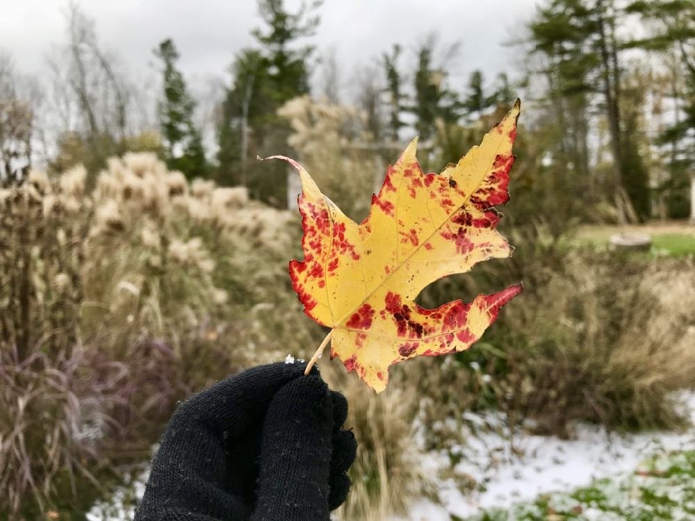 Melhor época para ir ao Canadá | Melhores meses e clima! Melhor época para ir ao Canadá | Melhores meses e clima!