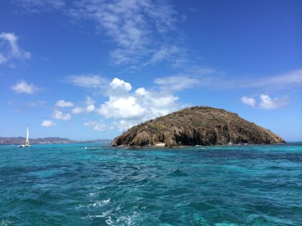 Buck Island - snorkel area