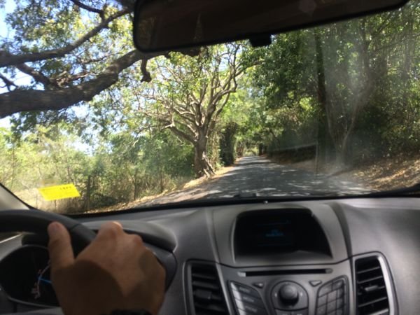 alugar carro no exterior