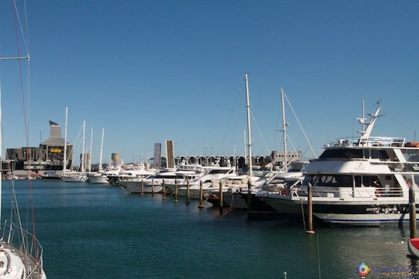 Marina no Viaduct Harbour local onde alguns barcos saem para pescar na baia de Auckland