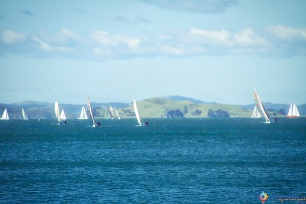 Veleiros na Waitemata Harbour