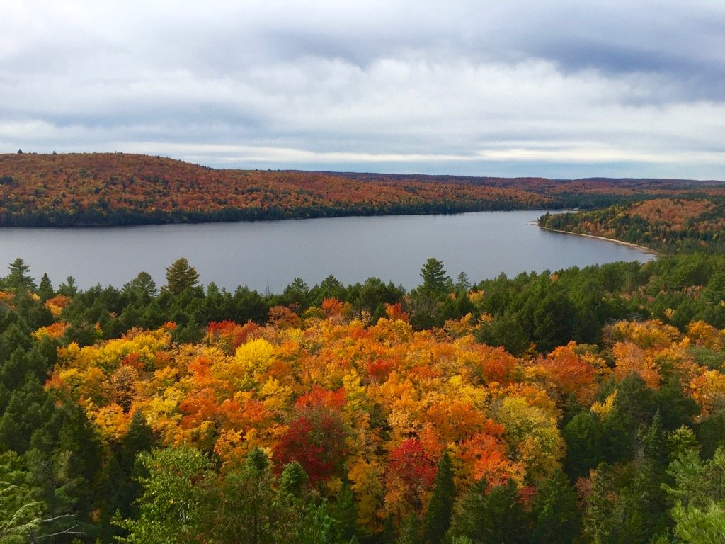 algonquin park no outono