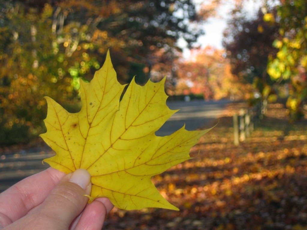 Outubro no Canadá