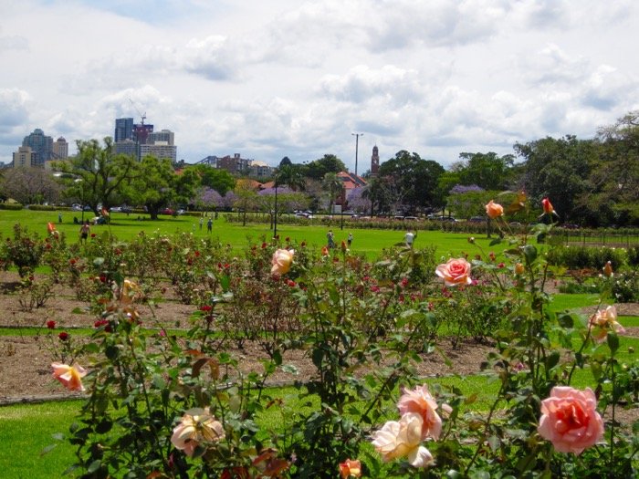New Farm Park, Brisbane