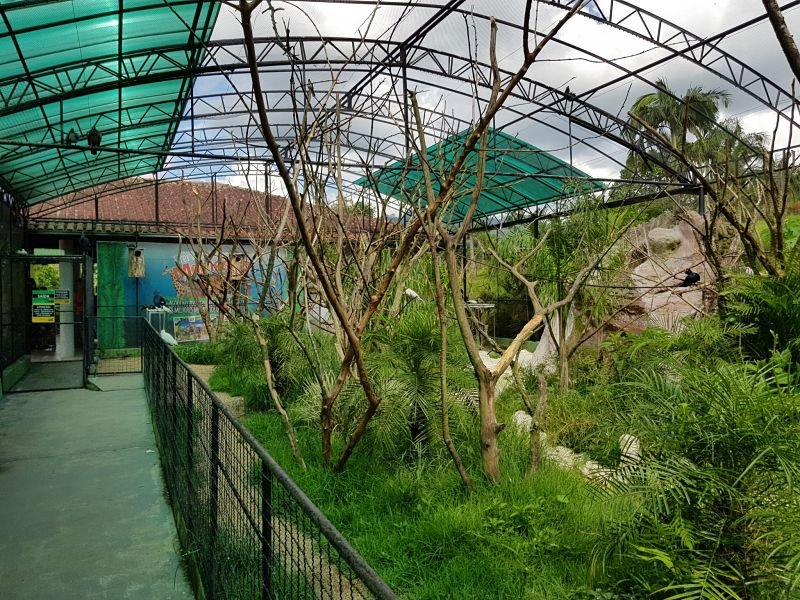 Zoo Pomerode aviário2