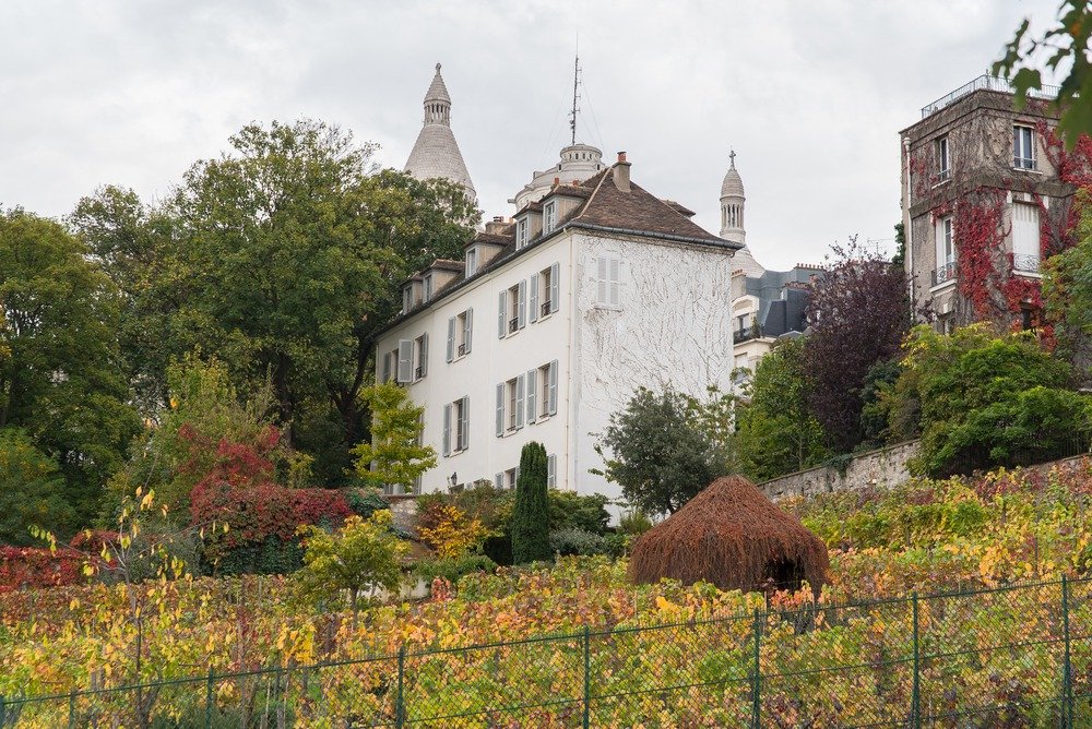 Vinho em Montmartre