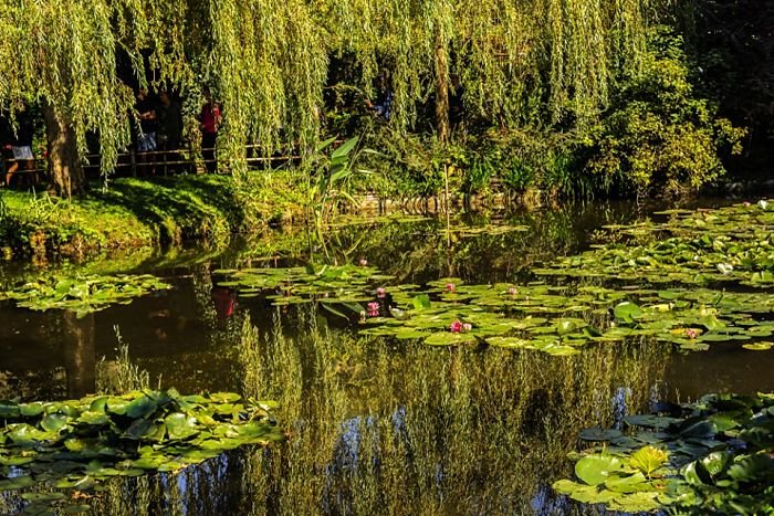 Jardim de Monet By Nadiia_foto Shutterstock
