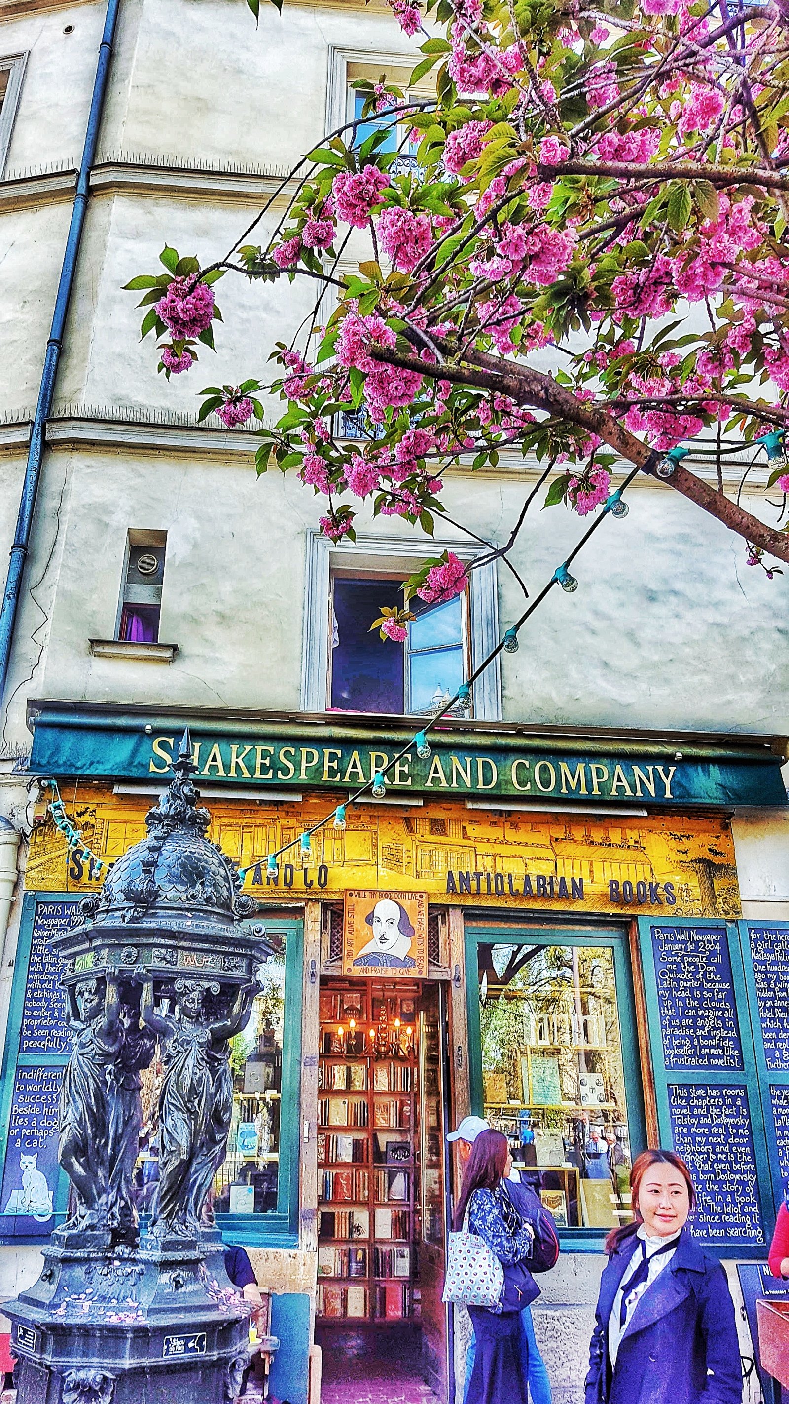 Florada da Cerejeira em Paris