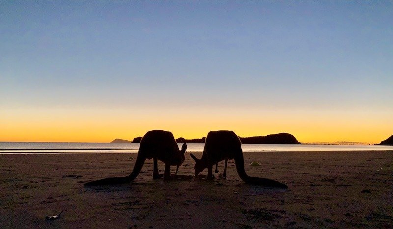 Dicas de Queensland, Austrália