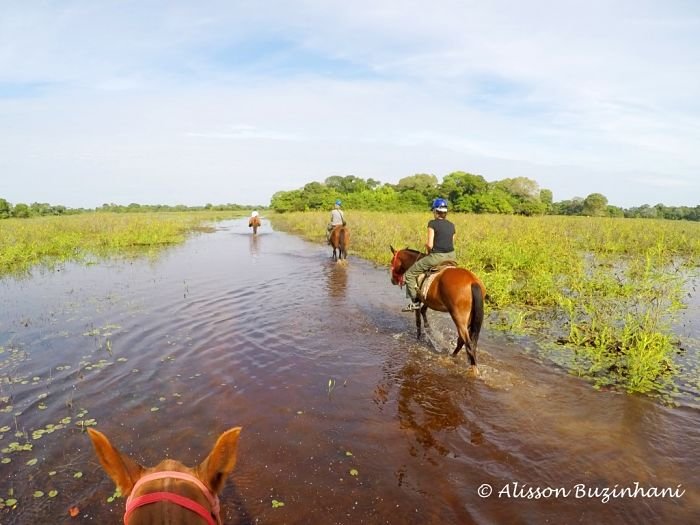 Tours em Bonito Pantanal Alisson Buzinhani